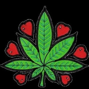 Meet your Posher, Jacqueline